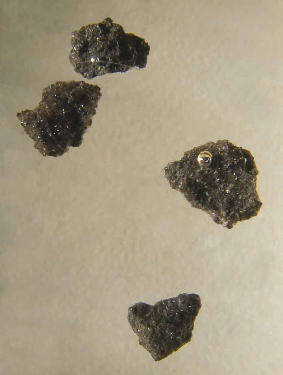 Close-up image of rock fragments (encased in acrylic) from the Apollo 11 mission to the moon (2009) The Illinois State Museum | Wikimedia Commons