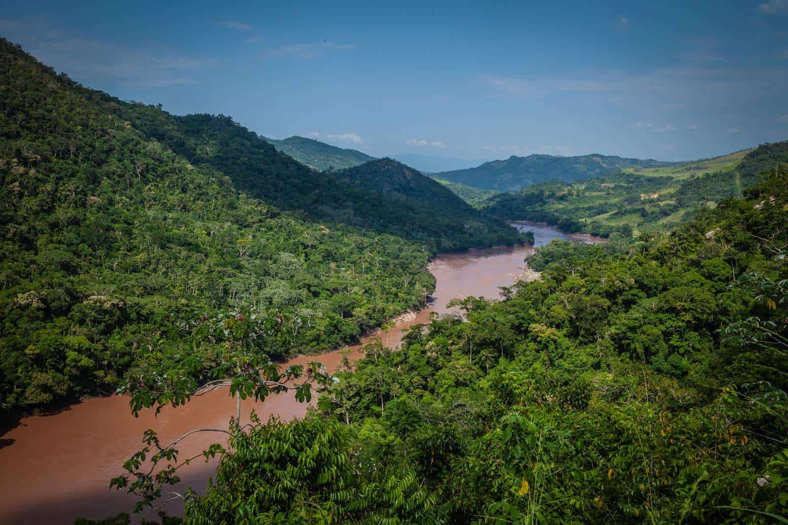 The Amazon rainforest at the heart of the disputed territory | Wikimedia Commons