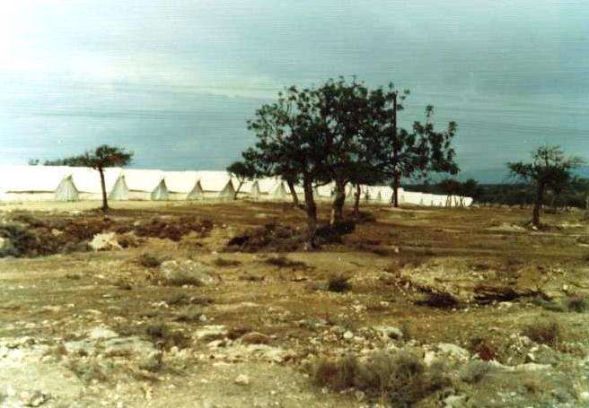 A tent city near Dhekelia for Greek-Cypriot refugees and displaced persons from the battles in and around the resort of Famagusta where Turkish amphibious forces had landed on the sandy beaches and occupied the city (2009) Brian Harrington Spier  | Wikimedia Commons