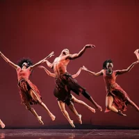 “For Me the Salvation is its Artists”—Dance Theater, Race, and Politics in South Africa