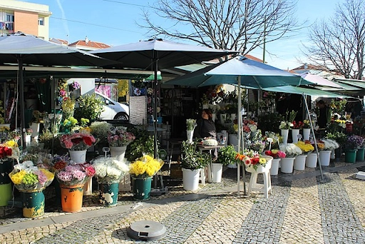 Lisbon, flower market in front of the cemetery in Ajuda (2017) Dguendel | Wikimedia Commons | CC BY-SA 4.0